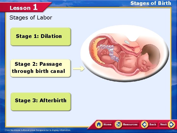 Lesson 1 Stages of Labor Stage 1: Dilation Stage 2: Passage through birth canal