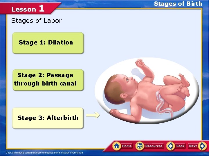 Lesson 1 Stages of Labor Stage 1: Dilation Stage 2: Passage through birth canal