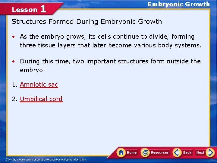 Lesson 1 Embryonic Growth Structures Formed During Embryonic Growth • As the embryo grows,