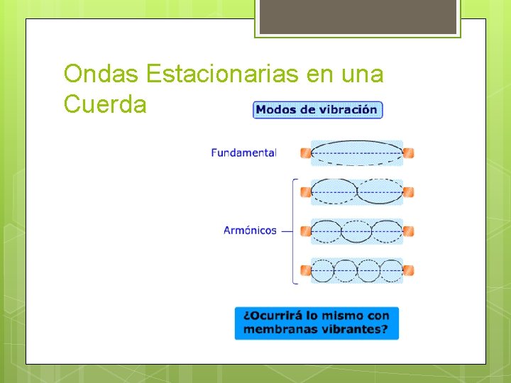 Ondas Estacionarias en una Cuerda 