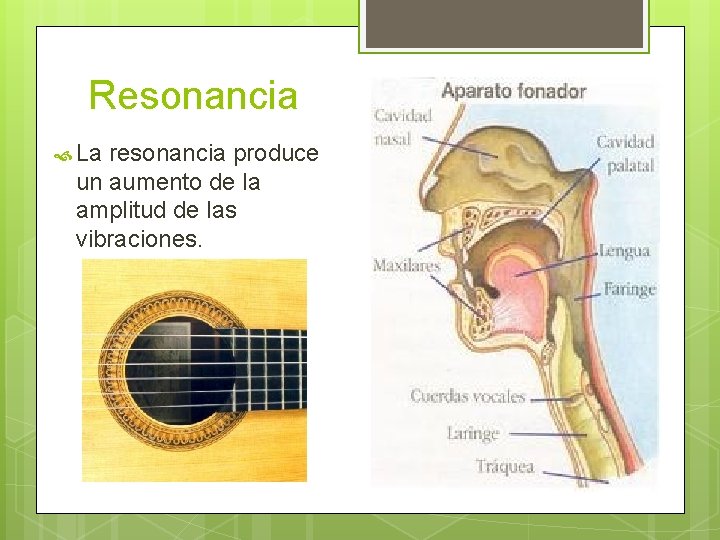 Resonancia La resonancia produce un aumento de la amplitud de las vibraciones. 