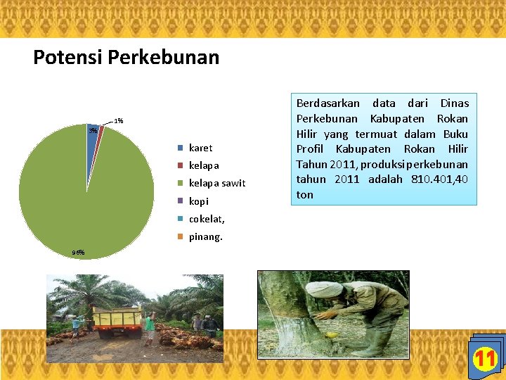 Potensi Perkebunan 1% 3% karet kelapa sawit kopi Berdasarkan data dari Dinas Perkebunan Kabupaten