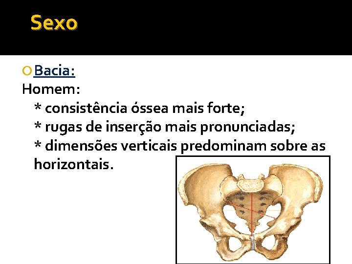 Sexo Bacia: Homem: * consistência óssea mais forte; * rugas de inserção mais pronunciadas;