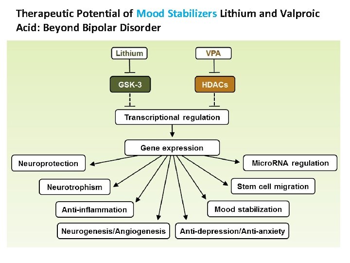 Therapeutic Potential of Mood Stabilizers Lithium and Valproic Acid: Beyond Bipolar Disorder 