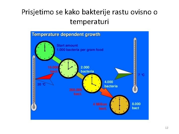 Prisjetimo se kako bakterije rastu ovisno o temperaturi 12 Prisjetimo se kako bakterije rastu ovisno o temperaturi 12