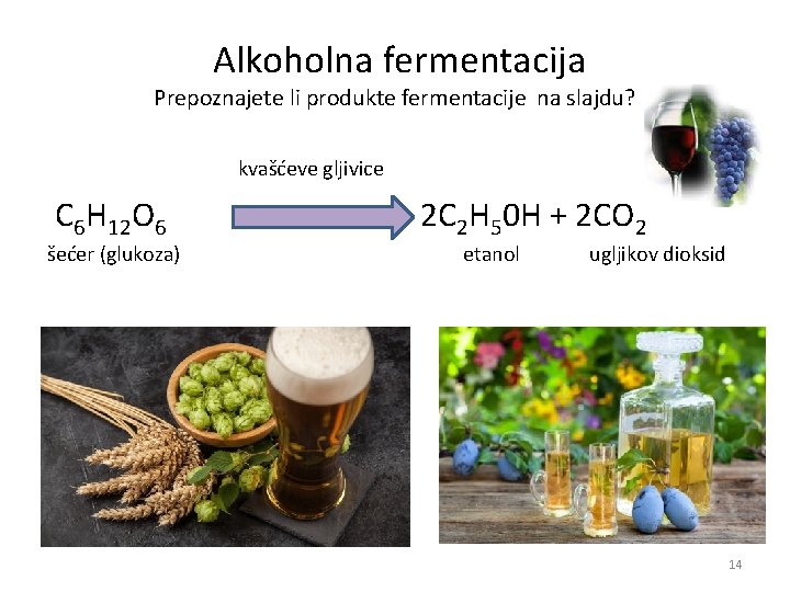 Alkoholna fermentacija Prepoznajete li produkte fermentacije na slajdu? kvašćeve gljivice C 6 H Alkoholna fermentacija Prepoznajete li produkte fermentacije na slajdu? kvašćeve gljivice C 6 H
