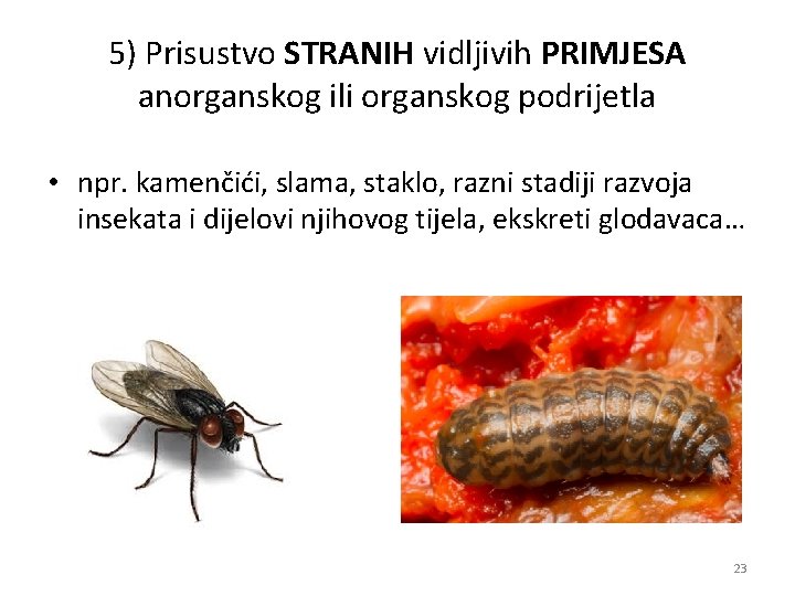 5) Prisustvo STRANIH vidljivih PRIMJESA anorganskog ili organskog podrijetla • npr. kamenčići, slama, staklo, 5) Prisustvo STRANIH vidljivih PRIMJESA anorganskog ili organskog podrijetla • npr. kamenčići, slama, staklo,