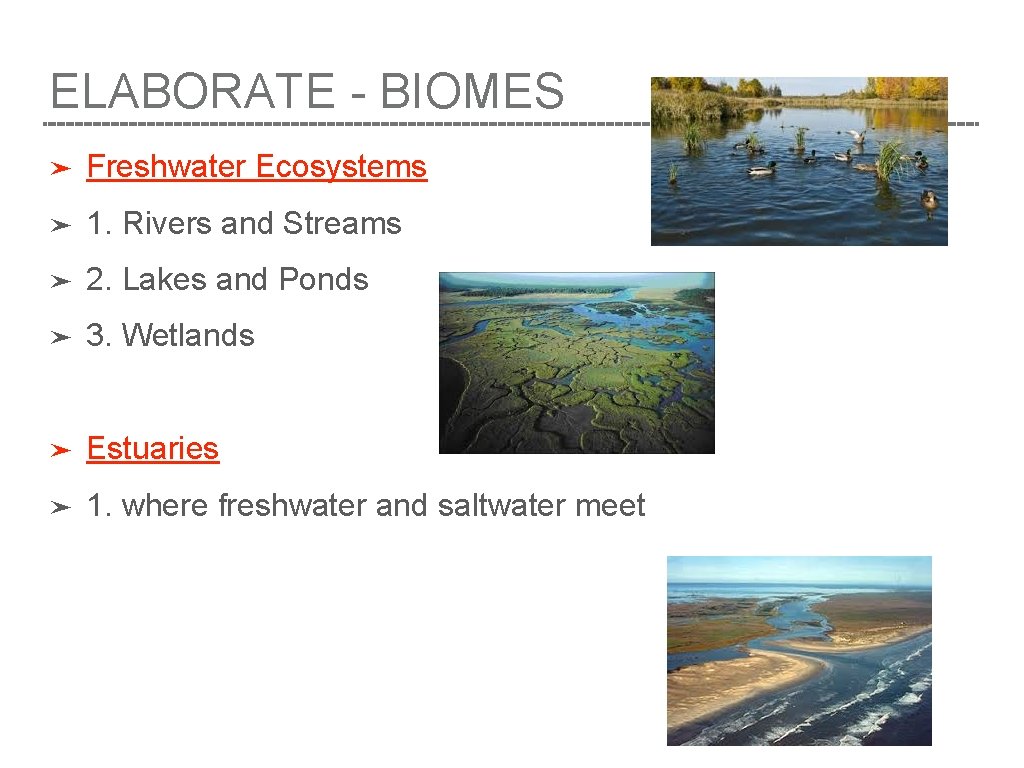 ELABORATE - BIOMES ➤ Freshwater Ecosystems ➤ 1. Rivers and Streams ➤ 2. Lakes