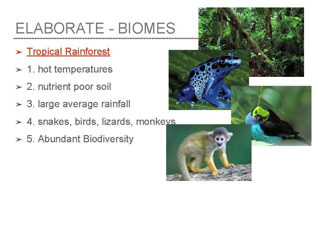 ELABORATE - BIOMES ➤ Tropical Rainforest ➤ 1. hot temperatures ➤ 2. nutrient poor