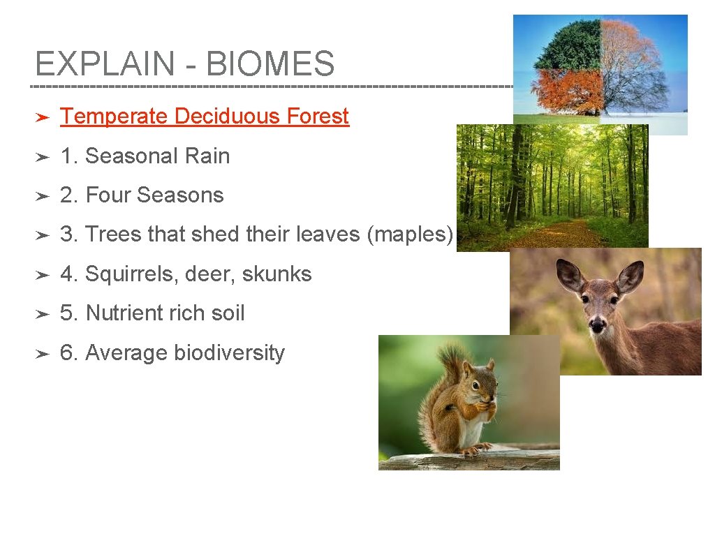 EXPLAIN - BIOMES ➤ Temperate Deciduous Forest ➤ 1. Seasonal Rain ➤ 2. Four