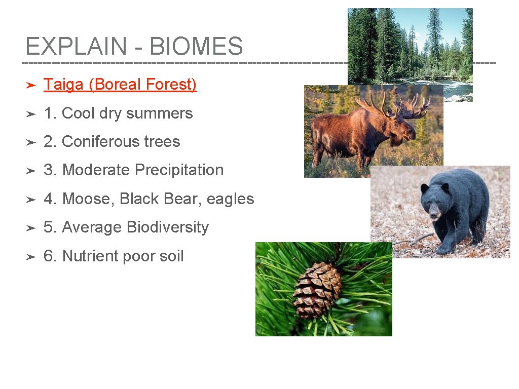 EXPLAIN - BIOMES ➤ Taiga (Boreal Forest) ➤ 1. Cool dry summers ➤ 2.