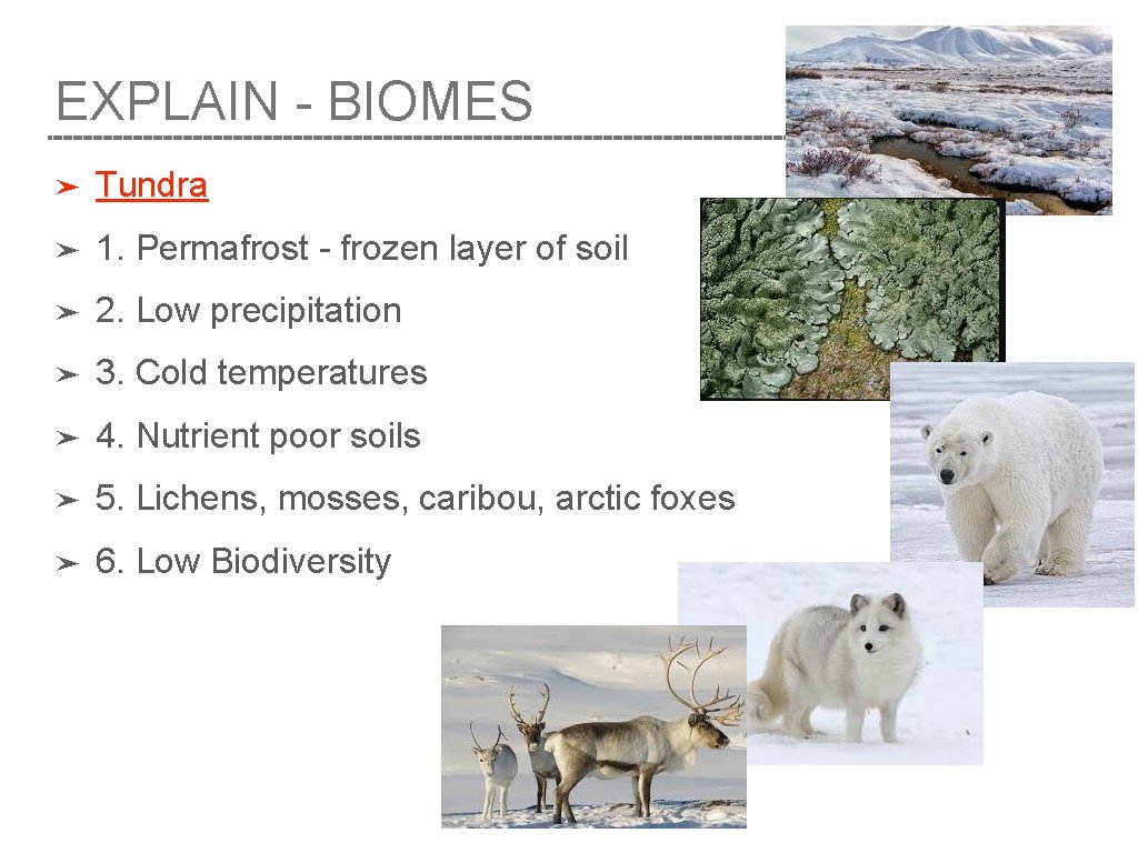 EXPLAIN - BIOMES ➤ Tundra ➤ 1. Permafrost - frozen layer of soil ➤