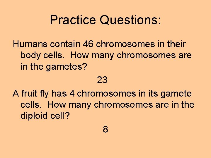 Practice Questions: Humans contain 46 chromosomes in their body cells. How many chromosomes are