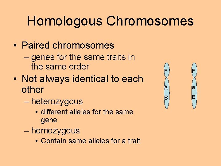 Homologous Chromosomes • Paired chromosomes – genes for the same traits in the same