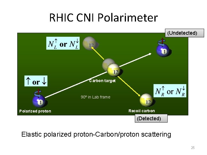 RHIC CNI Polarimeter (Undetected) Carbon target 90º in Lab frame Polarized proton Recoil carbon