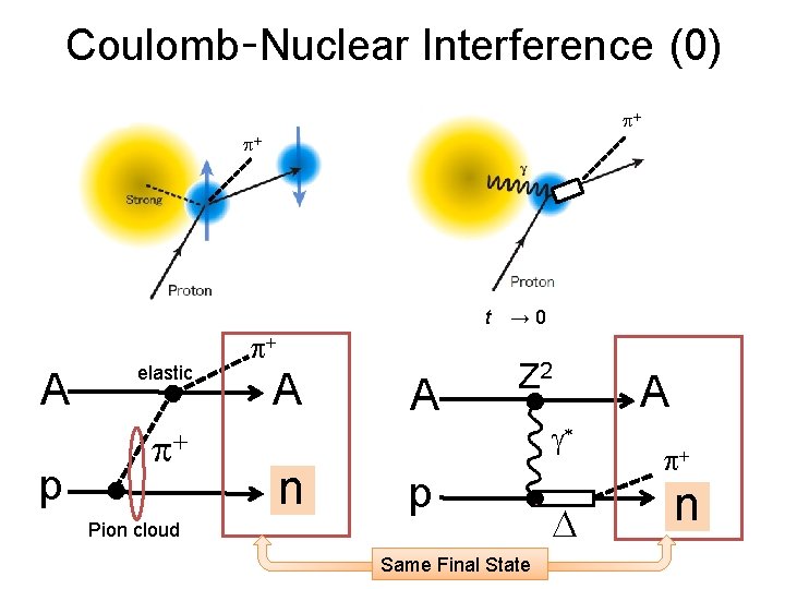 Coulomb-Nuclear Interference (0) p+ p+ A p elastic p+ t　→ 0 p+ A n