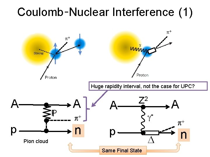 Coulomb-Nuclear Interference (1) p+ p+ t　→ 0 Huge rapidity interval, not the case for