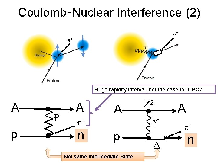 Coulomb-Nuclear Interference (2) p+ p+ t　→ 0 Huge rapidity interval, not the case for