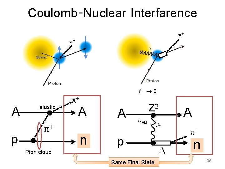 Coulomb-Nuclear Interfarence p+ p+ A p elastic p+ t　→ 0 p+ A n A