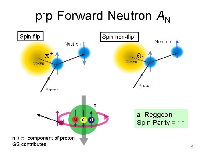 p↑p Forward Neutron AN Spin flip Spin non-flip Neutron p+ a 1 n +