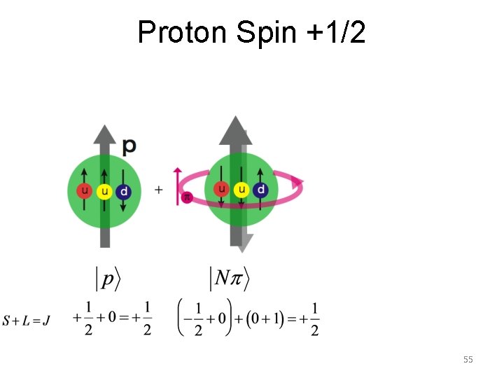 Proton Spin +1/2 55 