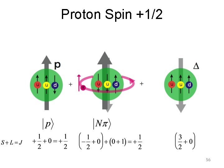 Proton Spin +1/2 56 