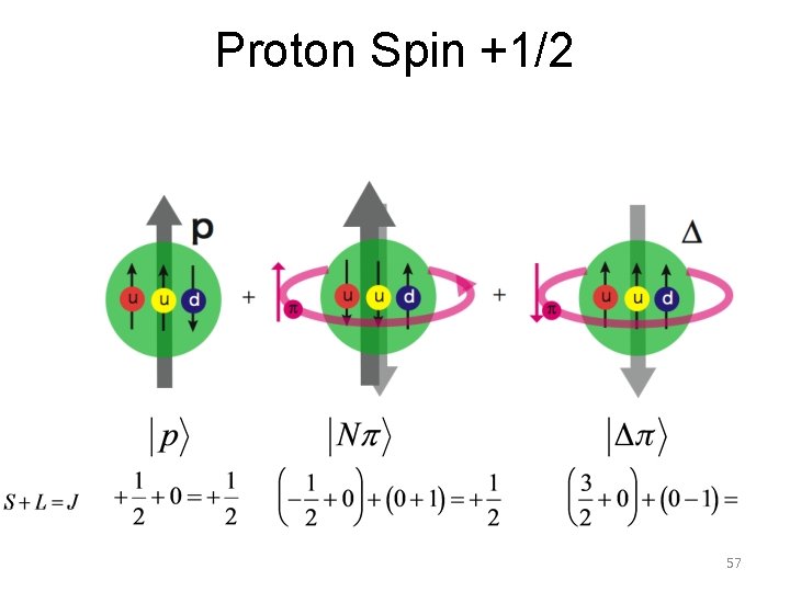 Proton Spin +1/2 57 