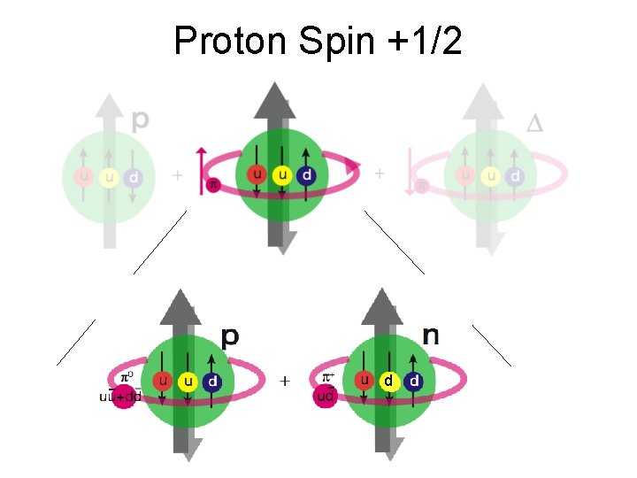 Proton Spin +1/2 d 