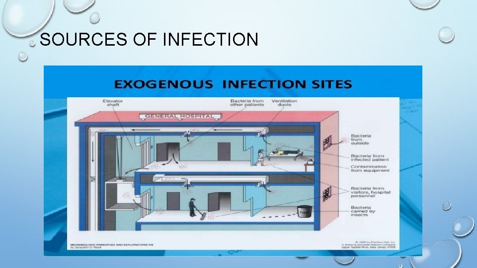 SOURCES OF INFECTION 