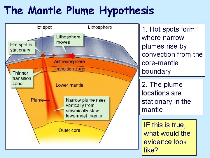 The Mantle Plume Hypothesis 1. Hot spots form where narrow plumes rise by convection