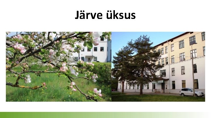 Järve üksus 