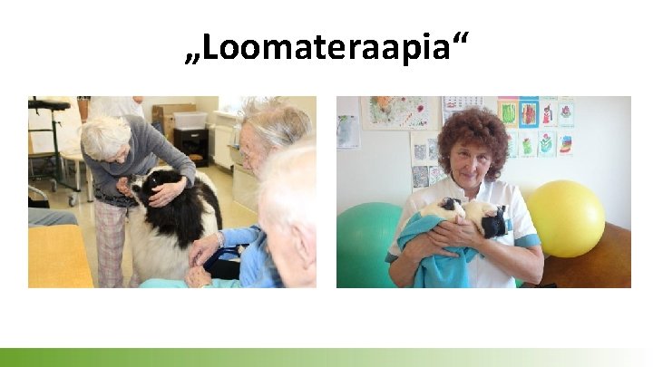 „Loomateraapia“ 