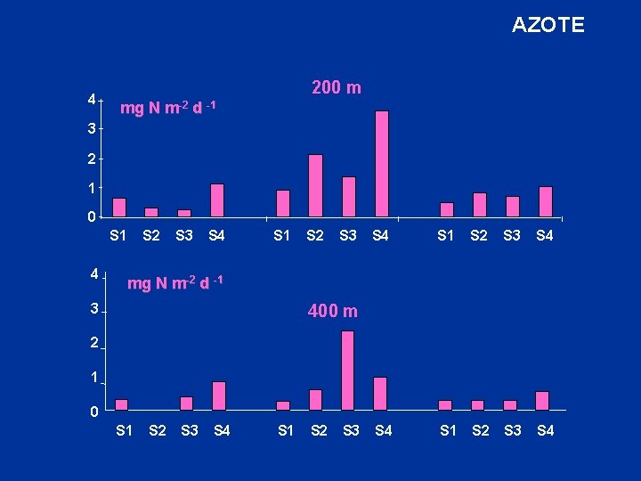 AZOTE 4 200 m mg N m-2 d -1 3 2 1 0 S