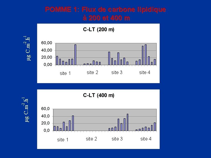 µg C. m. h -2 -1 POMME 1: Flux de carbone lipidique à 200