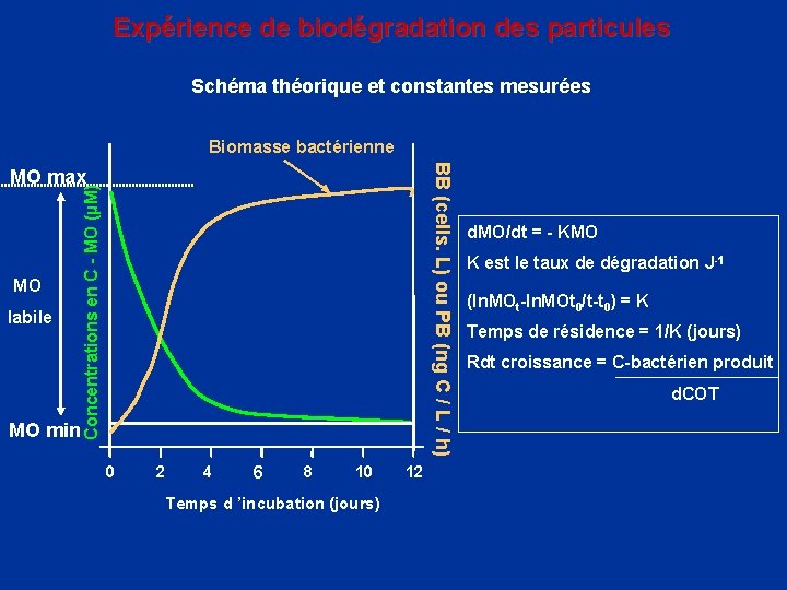 Expérience de biodégradation des particules Schéma théorique et constantes mesurées Biomasse bactérienne BB (cells.