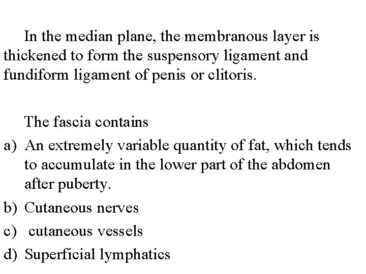 In the median plane, the membranous layer is thickened to form the suspensory ligament