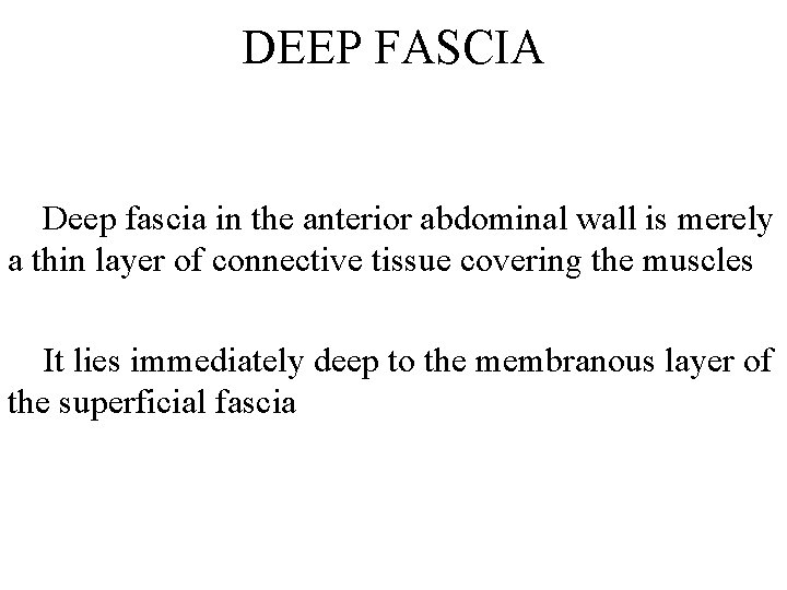 DEEP FASCIA Deep fascia in the anterior abdominal wall is merely a thin layer