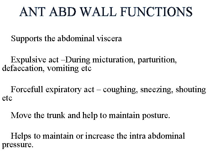ANT ABD WALL FUNCTIONS Supports the abdominal viscera Expulsive act –During micturation, parturition, defaecation,