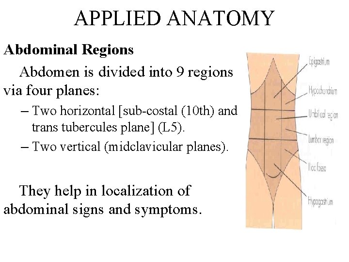 APPLIED ANATOMY Abdominal Regions Abdomen is divided into 9 regions via four planes: –