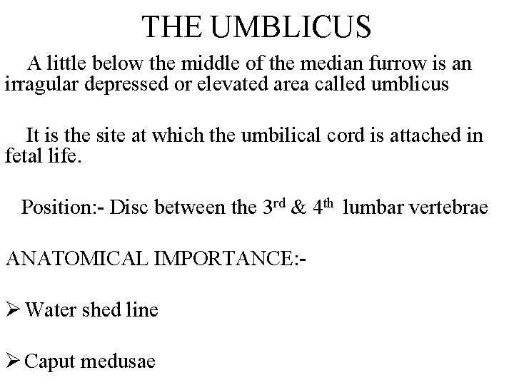 THE UMBLICUS A little below the middle of the median furrow is an irragular