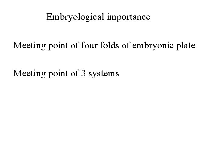 Embryological importance Meeting point of four folds of embryonic plate Meeting point of 3