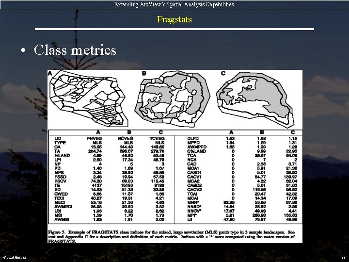 Extending Arc. View’s Spatial Analysis Capabilities Fragstats • Class metrics © Phil Hurvitz (image