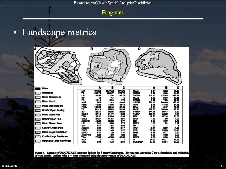 Extending Arc. View’s Spatial Analysis Capabilities Fragstats • Landscape metrics © Phil Hurvitz (image
