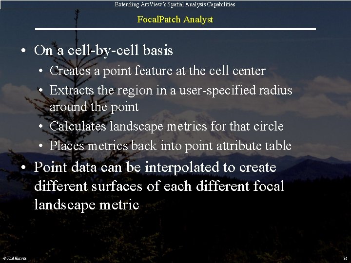 Extending Arc. View’s Spatial Analysis Capabilities Focal. Patch Analyst • On a cell-by-cell basis