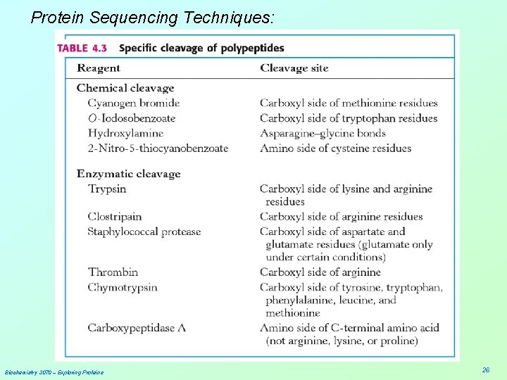 Protein Sequencing Techniques: Biochemistry 3070 – Exploring Proteins 26 