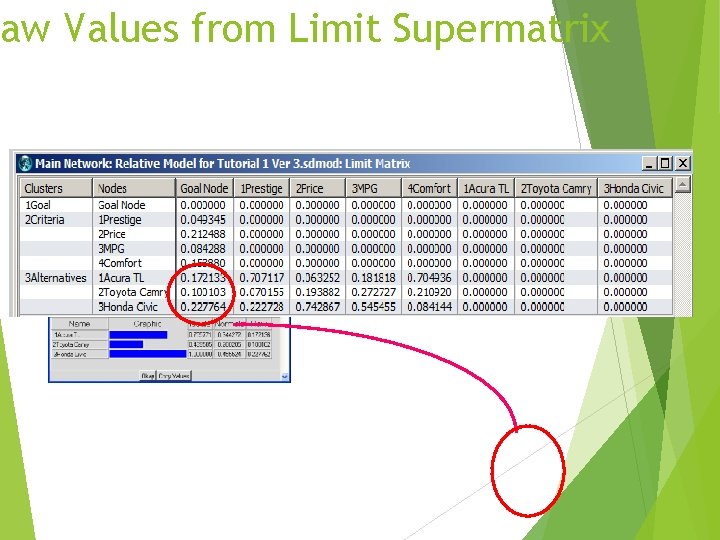 Raw Values from Limit Supermatrix 