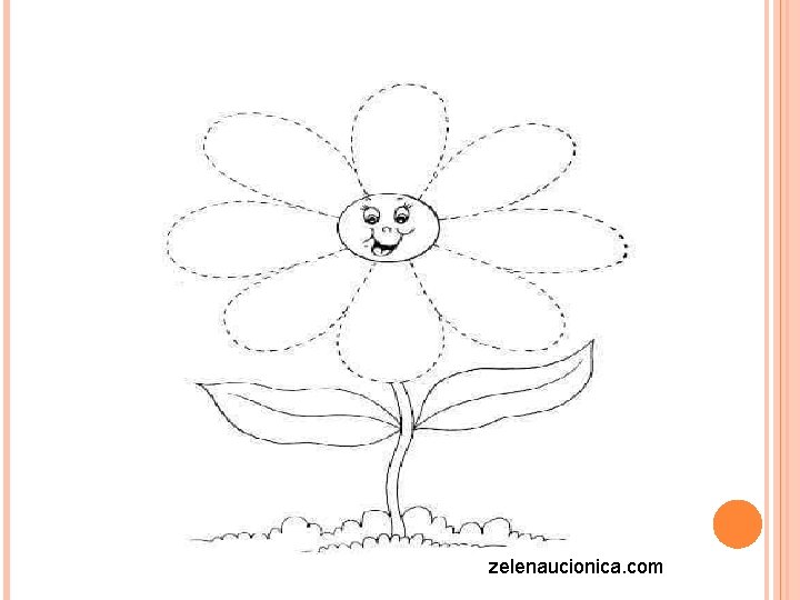 zelenaucionica. com 