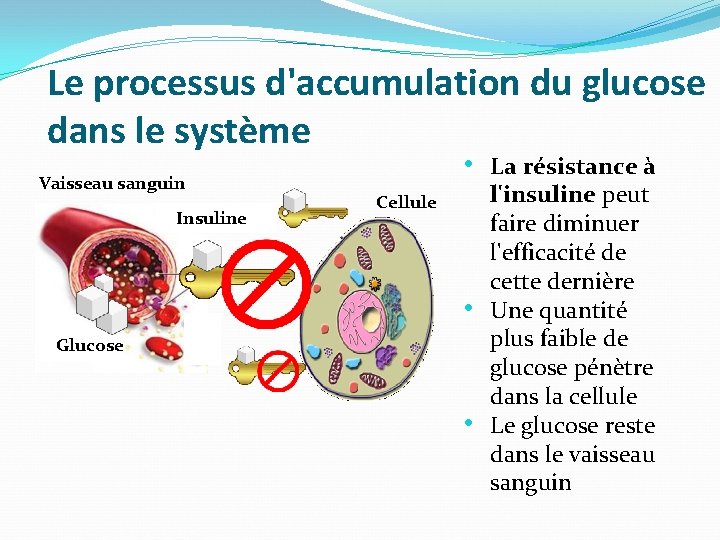 Le processus d'accumulation du glucose dans le système Vaisseau sanguin Insuline • La résistance Le processus d'accumulation du glucose dans le système Vaisseau sanguin Insuline • La résistance