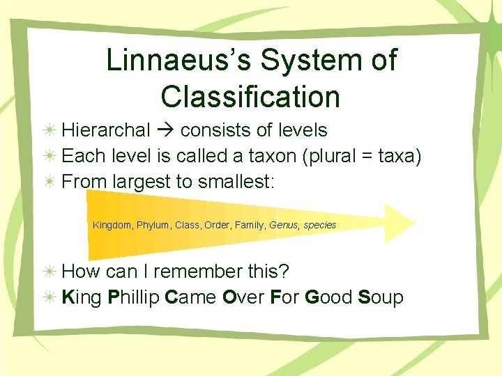 Linnaeus’s System of Classification Hierarchal consists of levels Each level is called a taxon