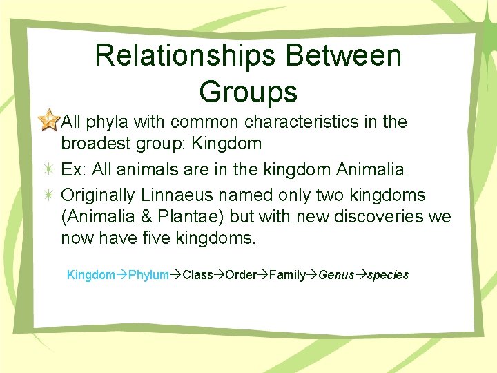 Relationships Between Groups All phyla with common characteristics in the broadest group: Kingdom Ex: